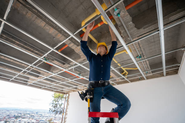 Best Water Leak Repair  in Percy, IL
