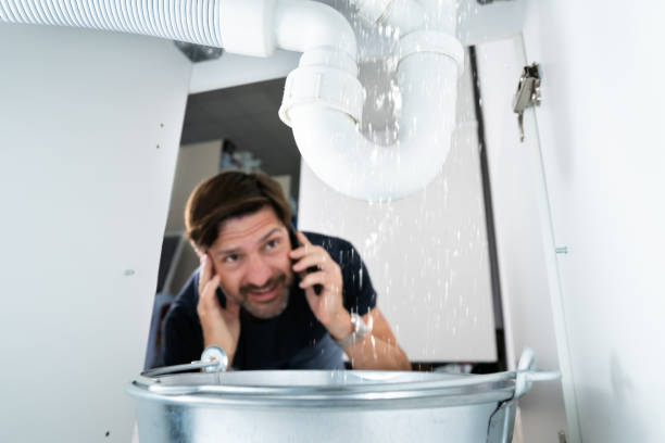 Best Faucet Repair  in Percy, IL