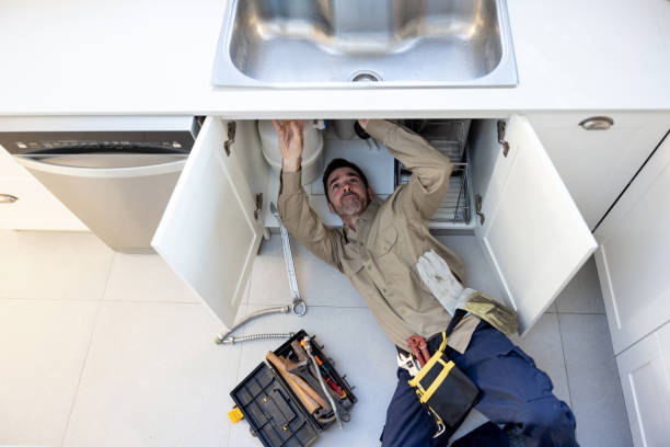 Best Commercial Plumbing Services  in Percy, IL