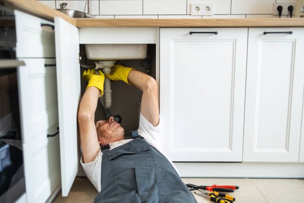 Best Sewer Line Repair  in Percy, IL