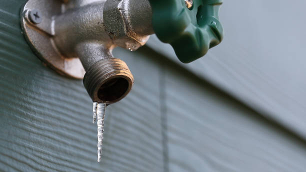 Best Plumbing Services Near Me  in Percy, IL