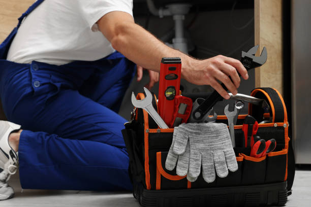 Best Clogged Drain Plumber  in Percy, IL